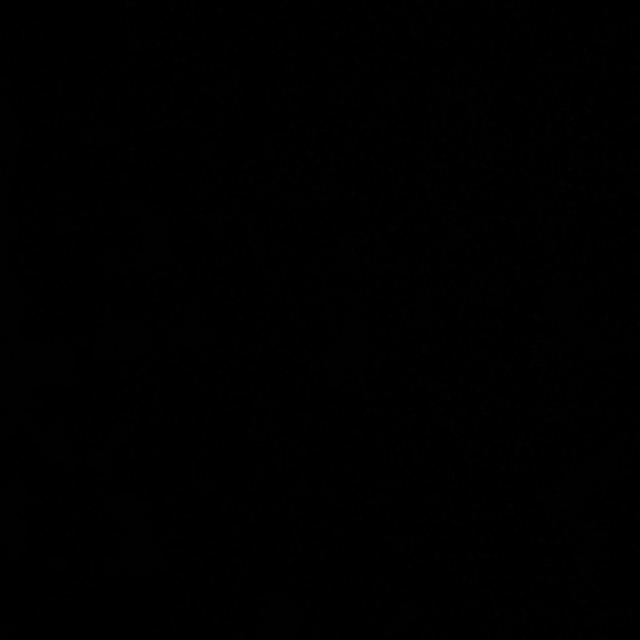 Meet your Posher, Nicki - Picture 1 of 1